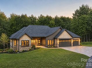 67 Mont Clair Trl, Horse Shoe, NC 28742