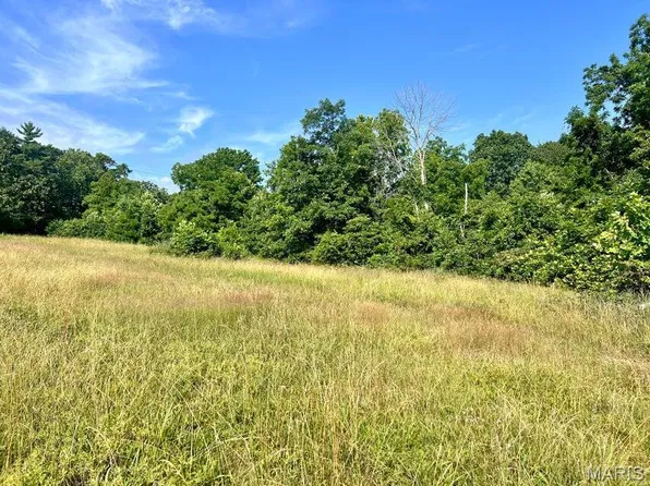 0 Highway Z, Houston, MO 65483