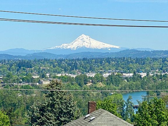 This view!