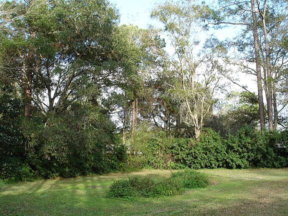 North side of backyard