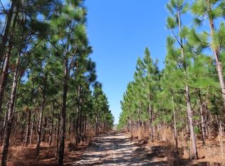White Pond Rd, Williston, SC 29853