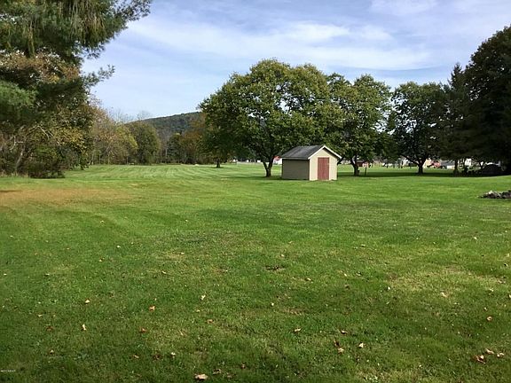 back yard 1
