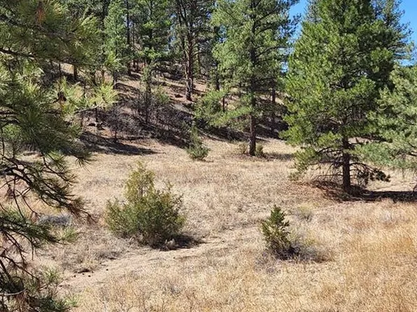 190 Mac Donnell Loop, Cotopaxi, CO 81223