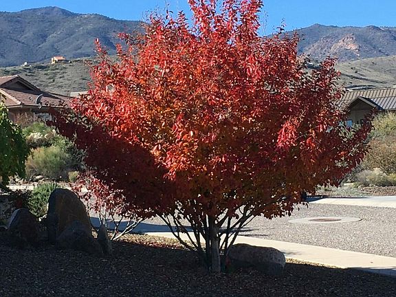 5th image of 1841 Sable Ridge Rd