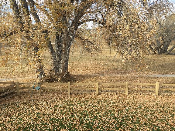 Back yard and open space
