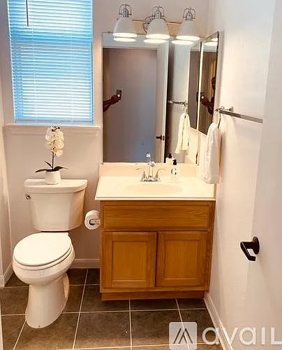 117 Enchanted Dr — Photo 10