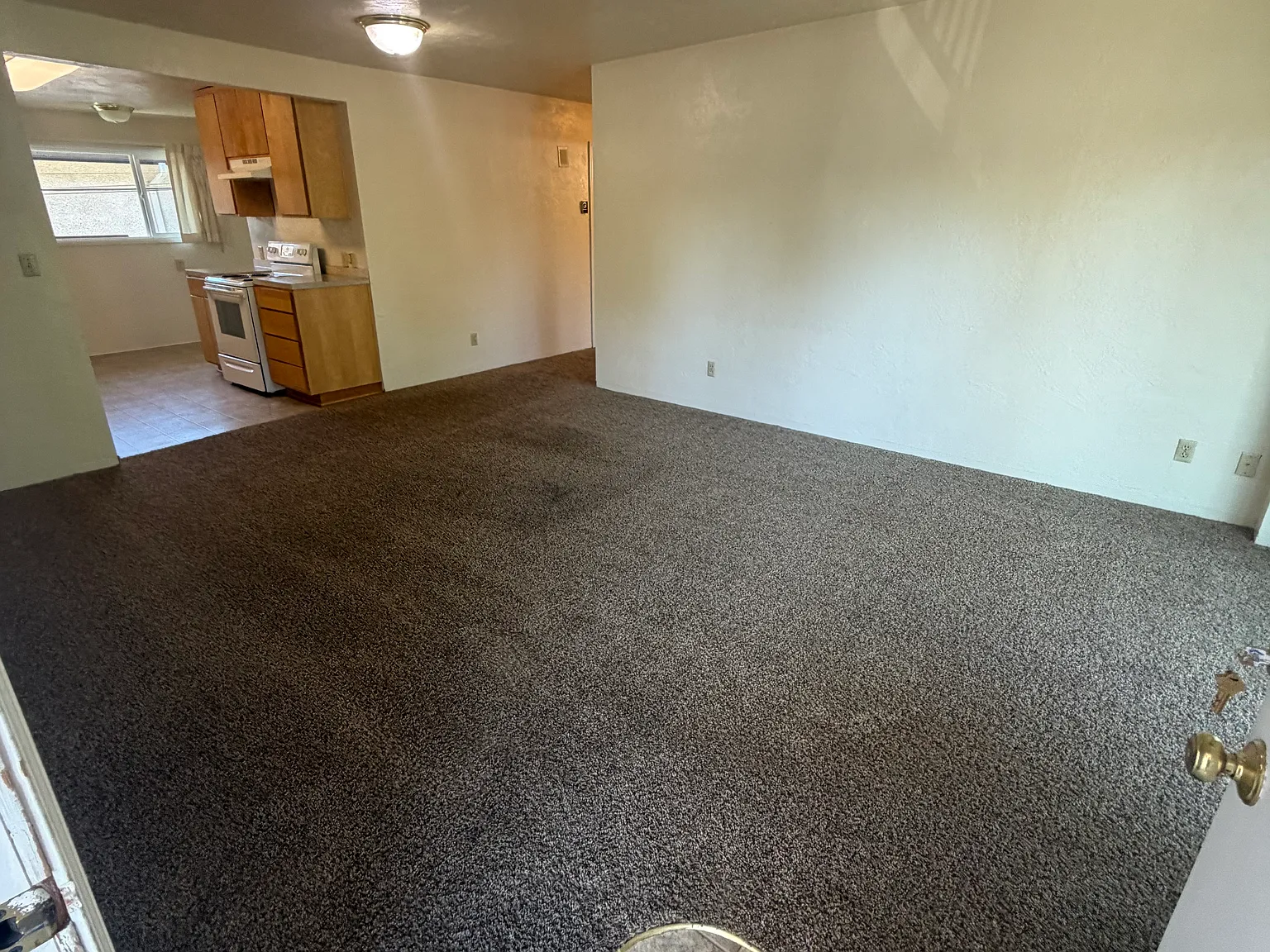 2 bed, 1100 sqft, $1,350 — Photo 1