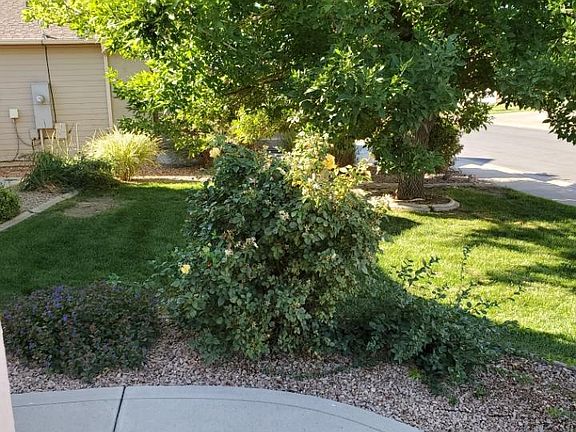 front walk way