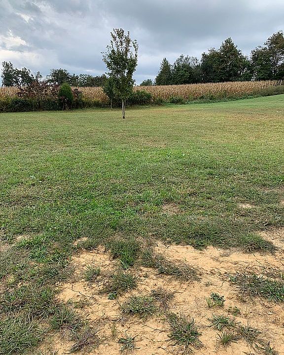 2nd image of 249 Waterfowl Loop