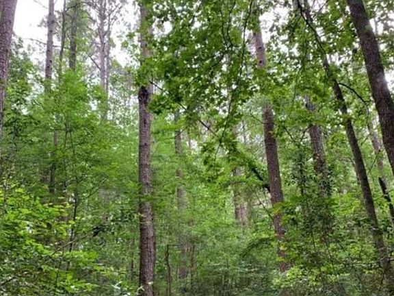 4th image of Simpson Rd