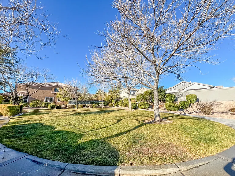 3335 Antique Rose Dr — Photo 56