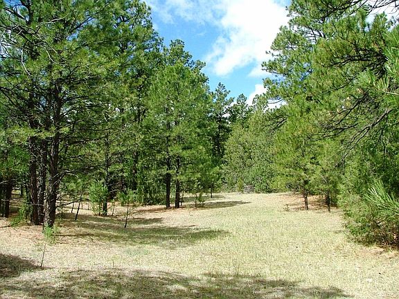 4th image of Bear Paw Trl