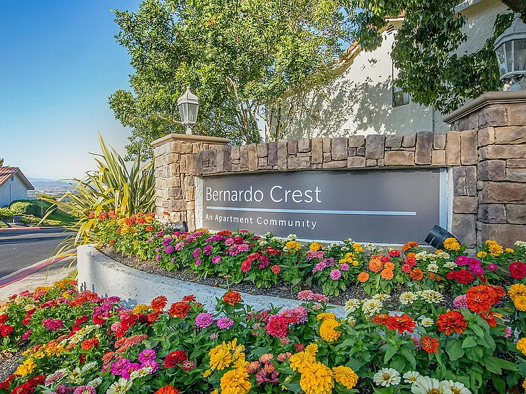 Bernardo Crest — Photo 6