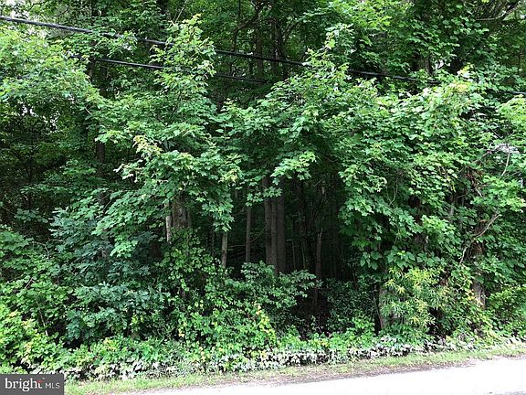 2nd image of LOT 14204 123 Brandywine