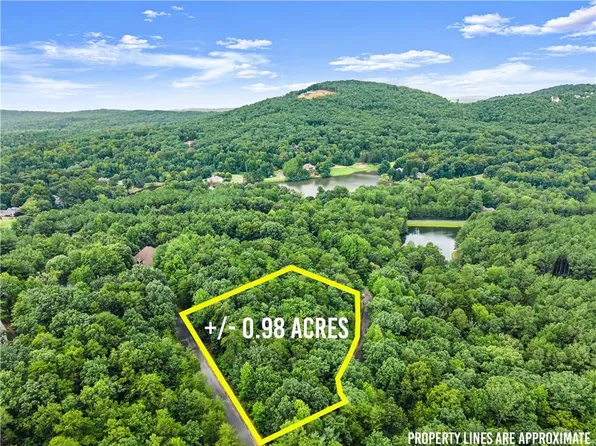349 Golden Ln #49, Clarkesville, GA 30523