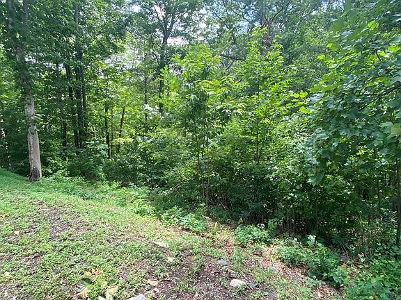 2nd image of 1011 Black Bear Ln Lot 10&11