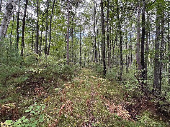 5th image of LOT 5 Sutton Rd