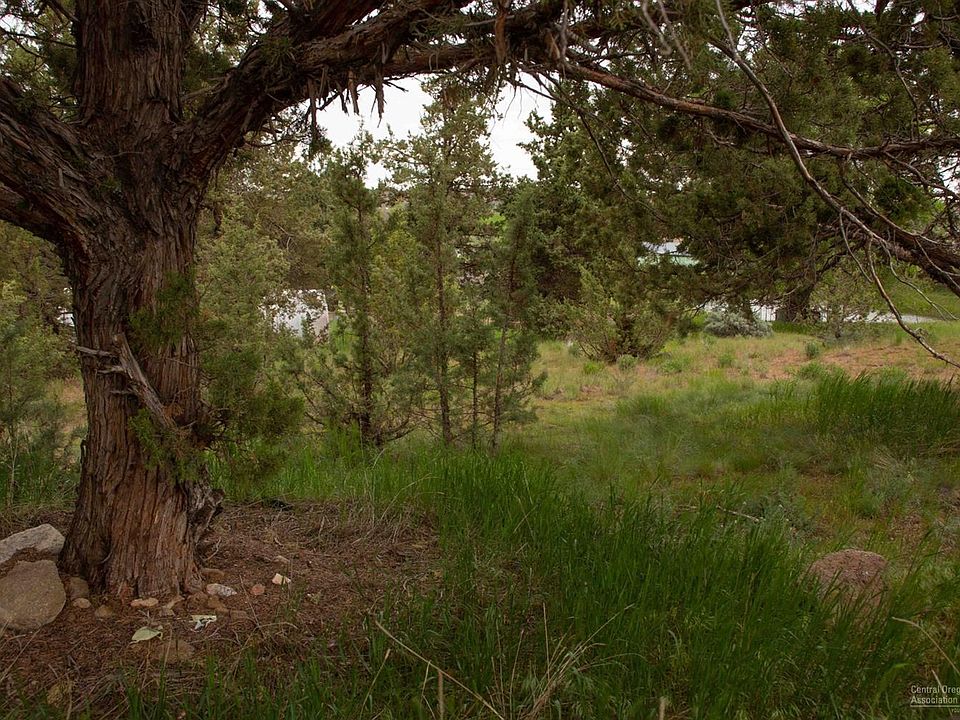 2nd image of 6 N Shady Ln
