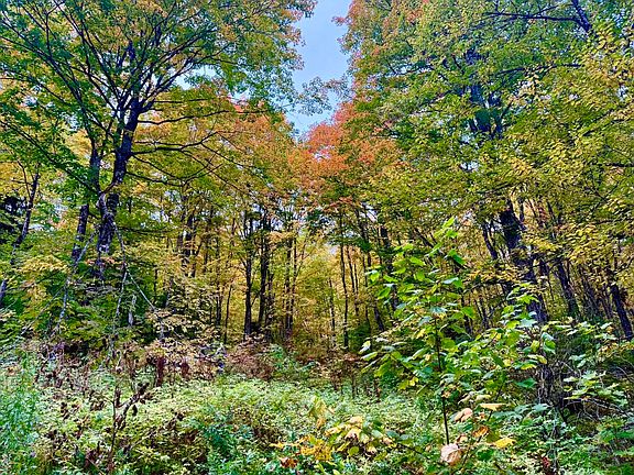 2nd image of 369 Hardscrabble Mountain Road Lot B