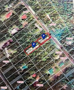 11-3821 Nahelenani St, Volcano, HI, 96785