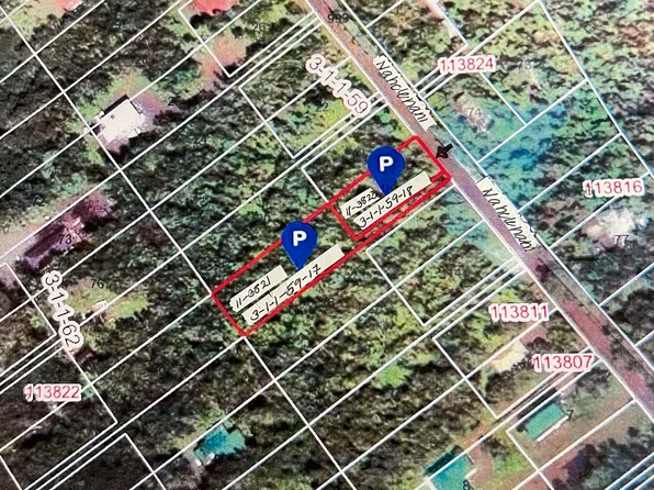 11-3821 Nahelenani St Lot 53-B-365, Volcano, HI 96785