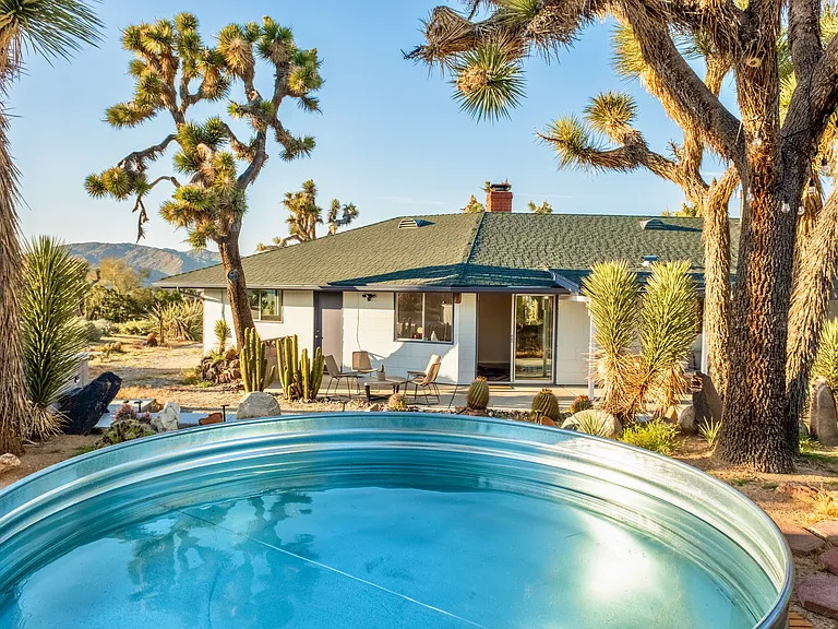 back yard view