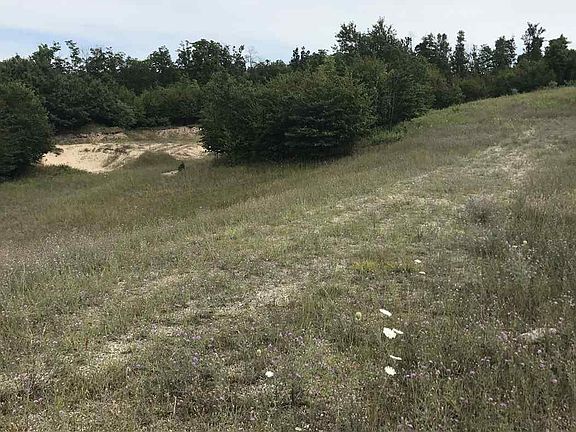 3rd image of 7644 Horton Creek Dr