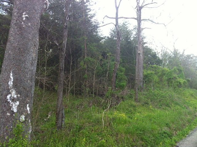 2nd image of 950 Scenic Rd
