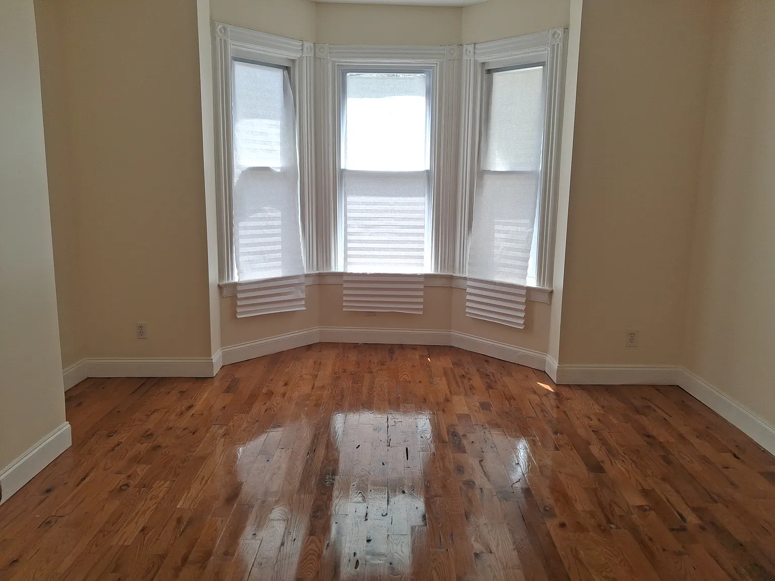 3 bed, 800 sqft, $2,500 — Photo 4