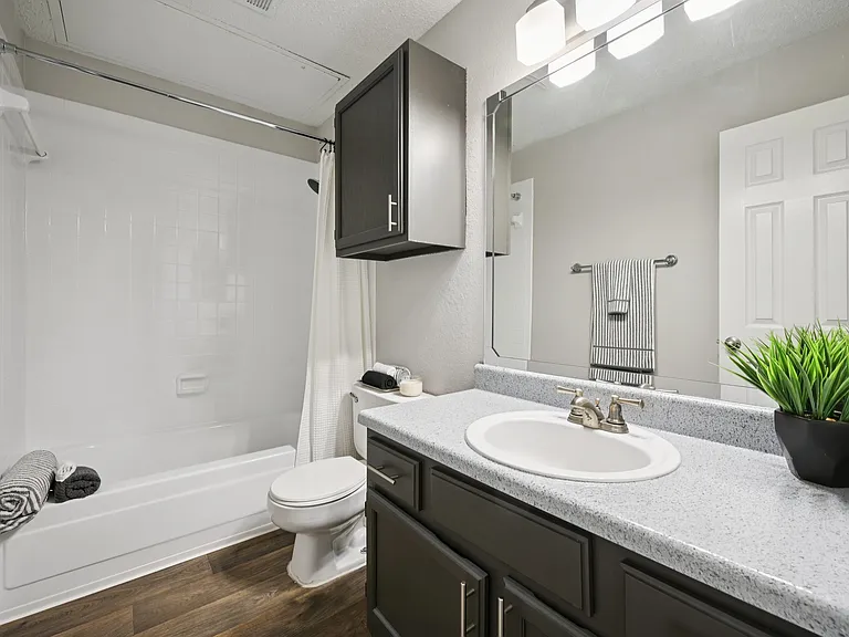Spring Pointe — Photo 16