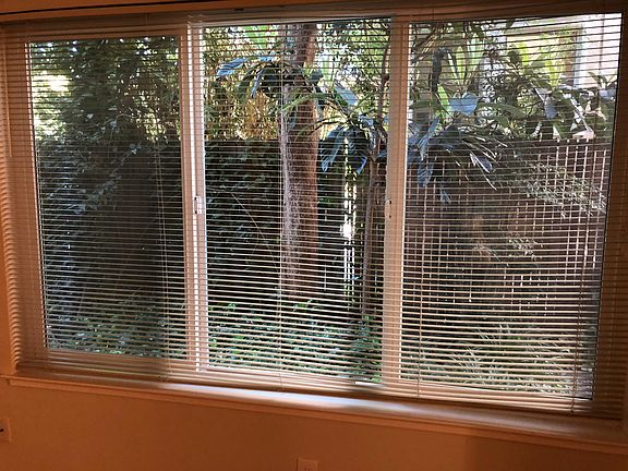 Looking out dining area window