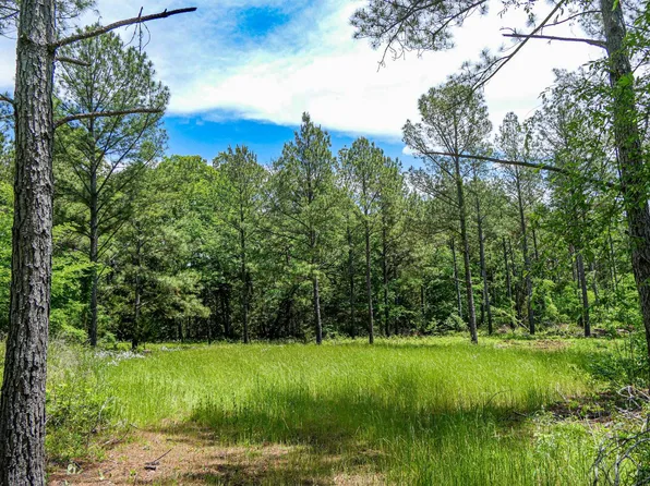 0 Bishop Rd, Union, SC 29379
