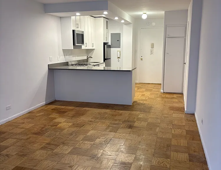330 E 46th St #10T — Photo 3