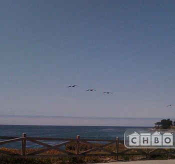 Walk on West Cliff Drive