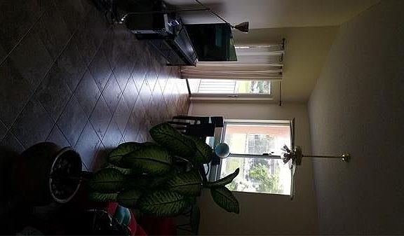 2nd image of 6984 SW 39th St APT 206
