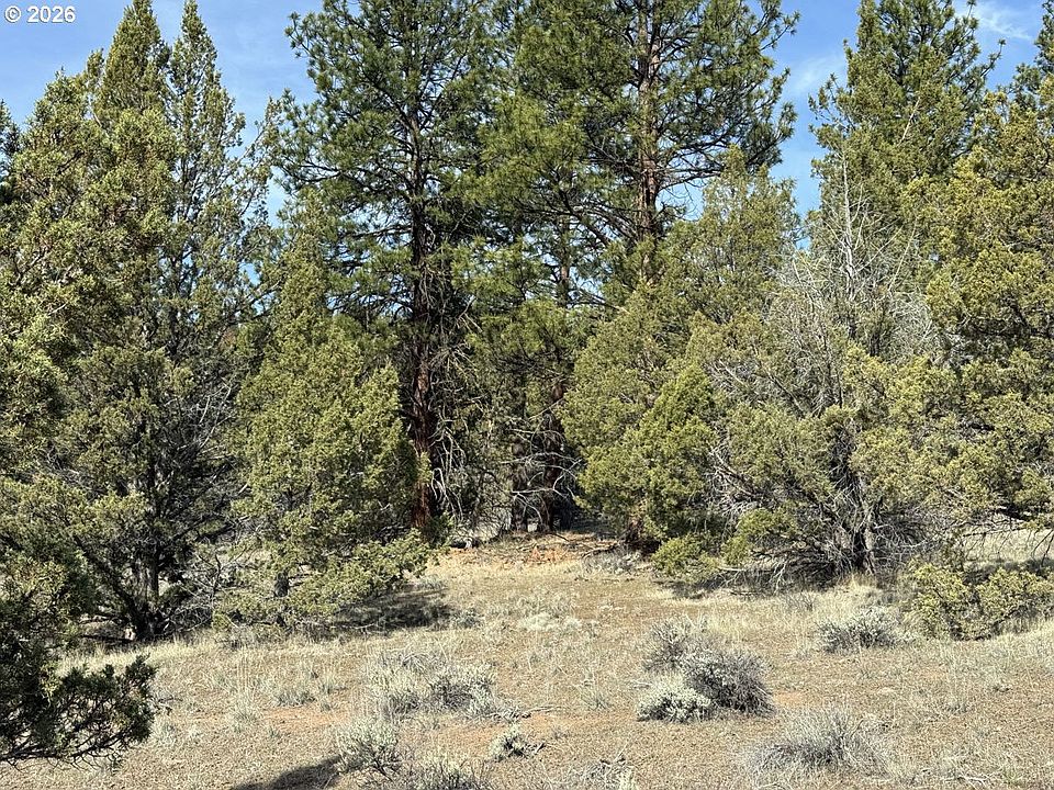 1st image of Yellow Jacket Spgs #1100