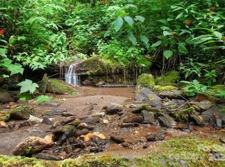 15 Mountain Mint Dr, Swannanoa, NC 28778