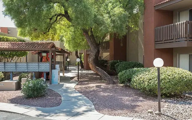 Maguire Hill Apartments — Photo 5