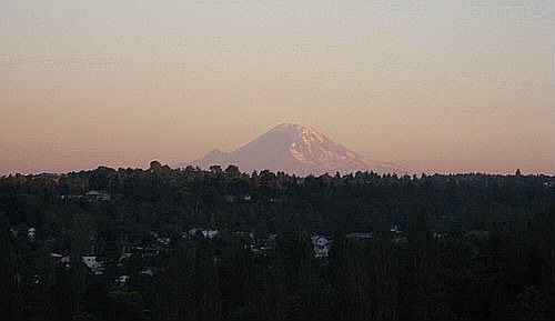 Great Mt Rainier view