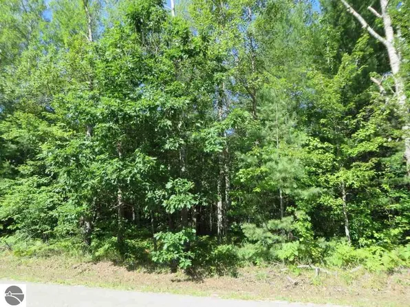 2065 Log Lake Rd NE, Kalkaska, MI 49646