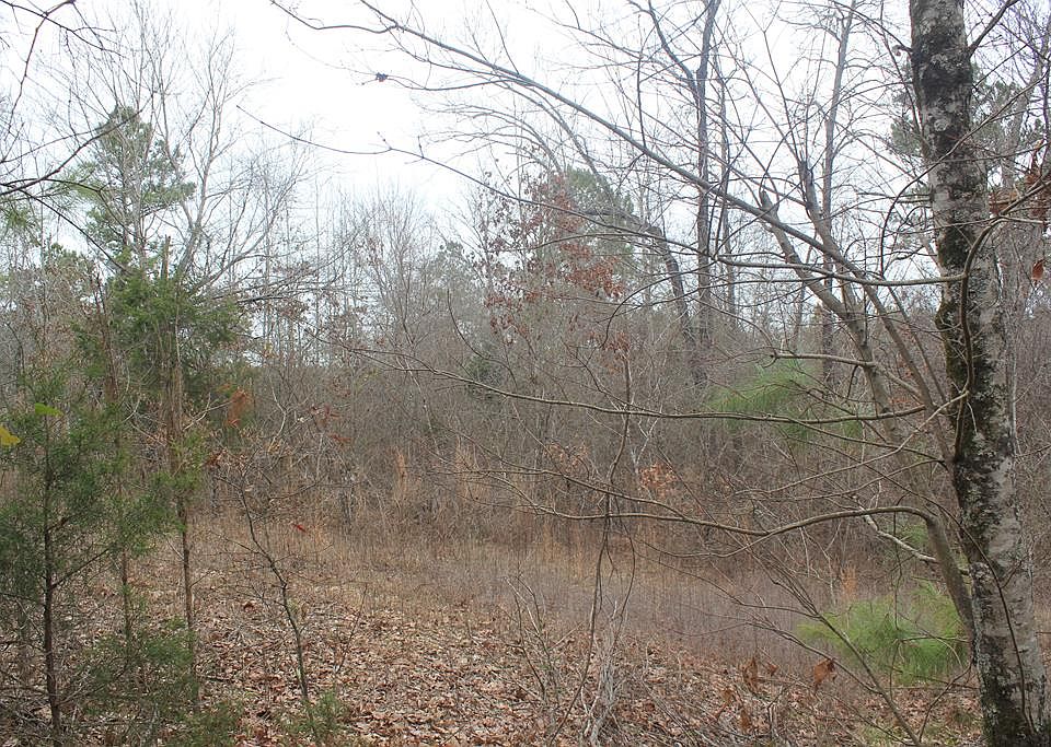 1st image of 6 County Road 204