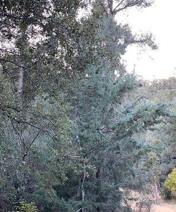 5th image of 2005 Freeman Dr