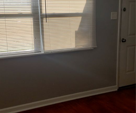 4th image of 229 Dundee Cir