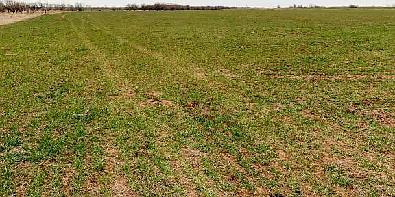 4th image of 10718 County Road 680