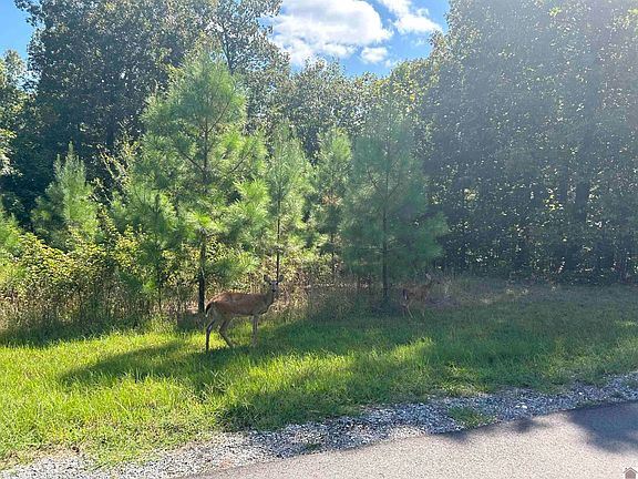 3rd image of 139 Centerview Rd