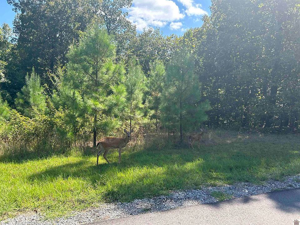1st image of 150 Centerview Rd