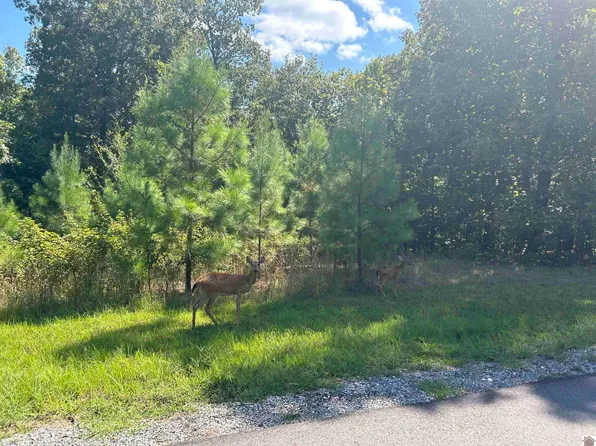 150 Centerview Rd, Murray, KY 42071