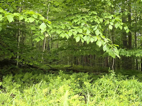 0 Sumner Road lot 4, Stamford, VT 05352