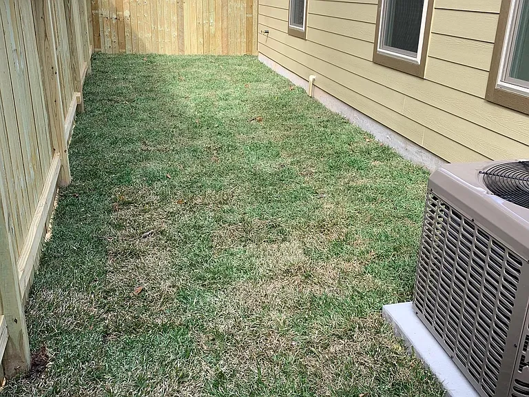 other side yard