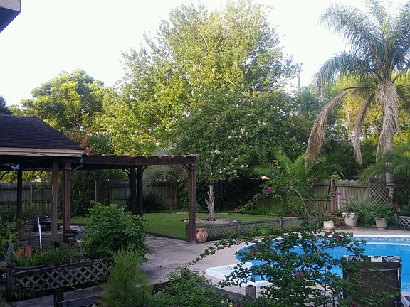Beautiful backyard with POOL